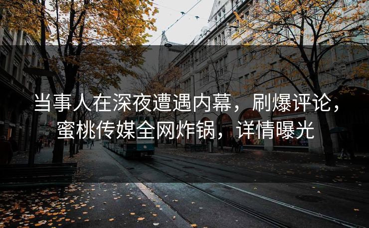 当事人在深夜遭遇内幕，刷爆评论，蜜桃传媒全网炸锅，详情曝光