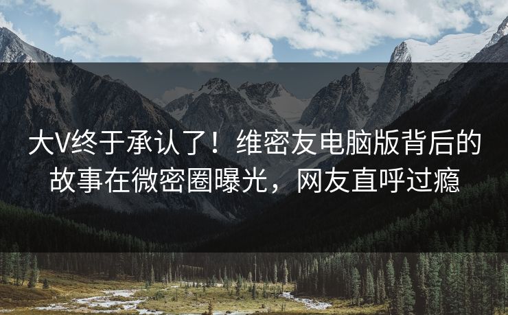 大V终于承认了！维密友电脑版背后的故事在微密圈曝光，网友直呼过瘾