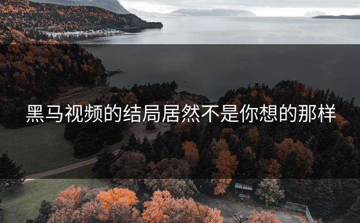 黑马视频的结局居然不是你想的那样
