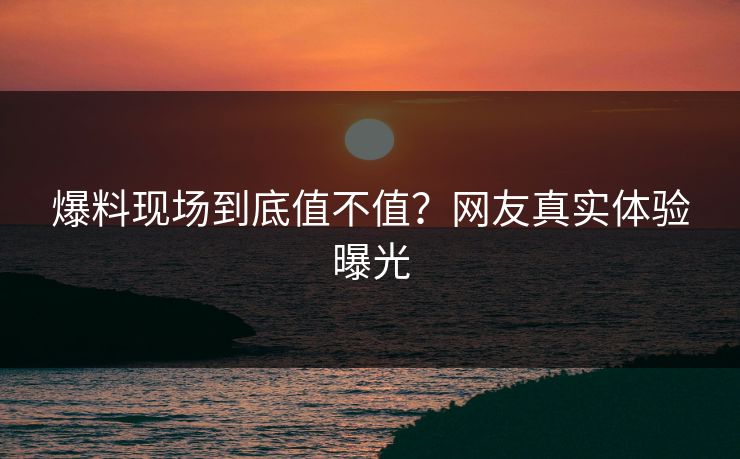 爆料现场到底值不值？网友真实体验曝光
