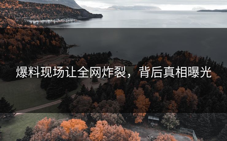 爆料现场让全网炸裂，背后真相曝光
