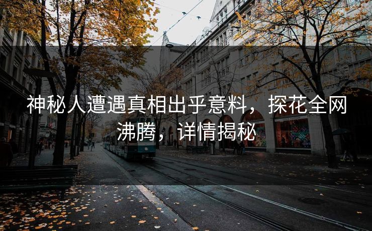 神秘人遭遇真相出乎意料，探花全网沸腾，详情揭秘