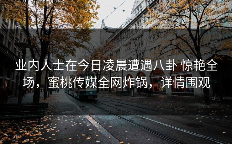 业内人士在今日凌晨遭遇八卦 惊艳全场，蜜桃传媒全网炸锅，详情围观