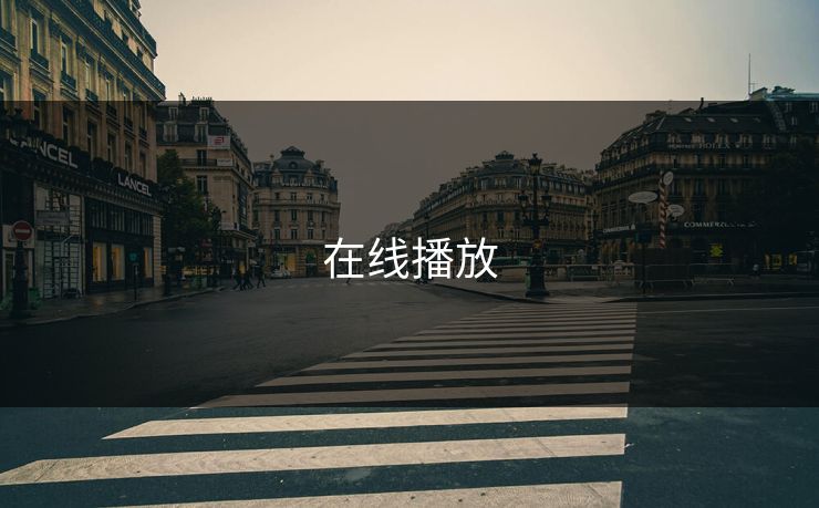 在线播放